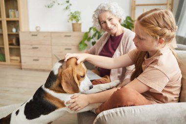 Hoş bir kızın sıcak bir yan görünüm portresi köpek ile oynarken sıcak bir evde ailece vakit geçirmenin keyfini çıkarıyor.