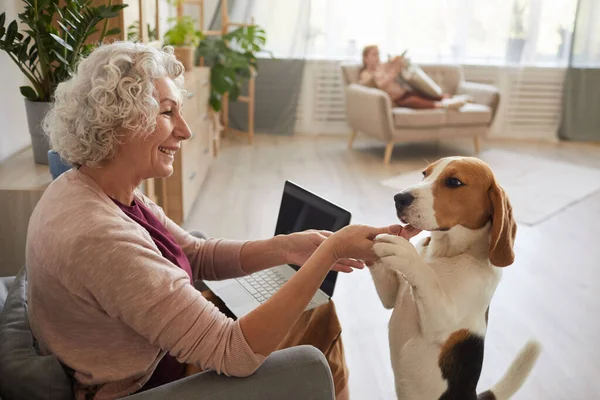 Warm Toned Side View Portrait Senior Woman Playing Dog While — Stock Photo, Image