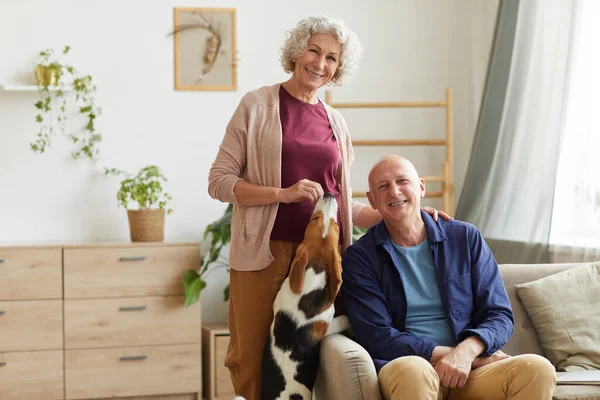 Portrait Modern Senior Couple Smiling Camera While Posing Cozy Home — Stock Photo, Image