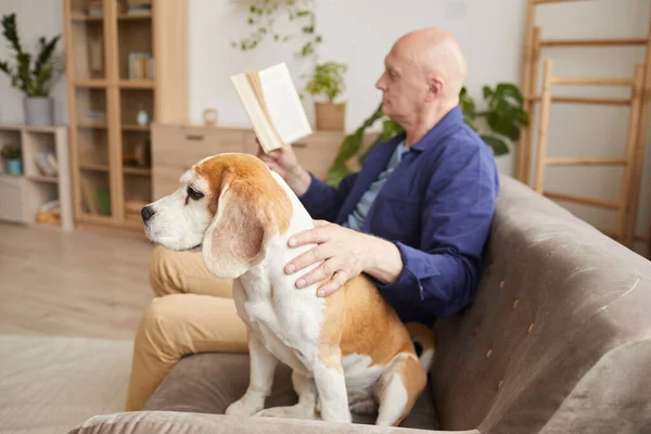 Boční Pohled Portrét Staršího Muže Mazlícího Psa Při Čtení Obývacím — Stock fotografie