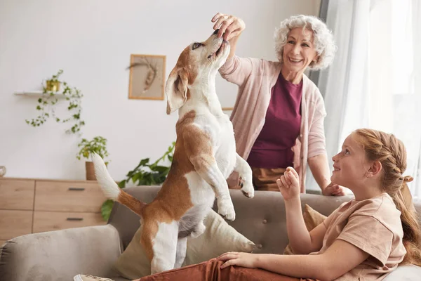 快乐家庭与活泼的小猎犬一起在家里跳着去吃东西的温暖色调的肖像 — 图库照片