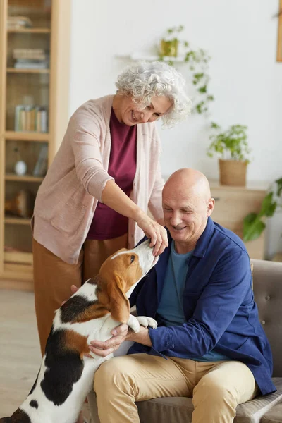 Vertikales Porträt Eines Entzückenden Senioren Paares Das Mit Hund Spielt — Stockfoto