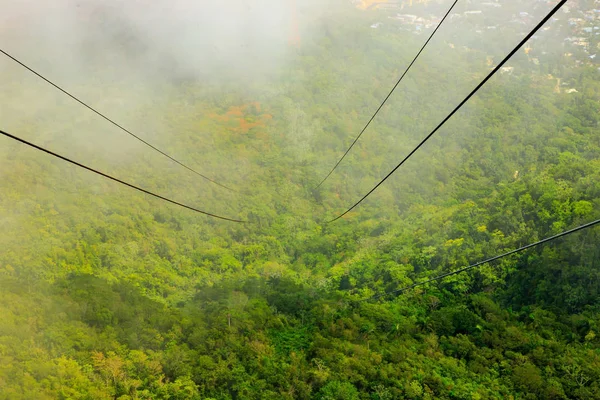 Vista Desde Teleférico Selva Con Niebla Monte Isabel Torres Puerto — Foto de Stock