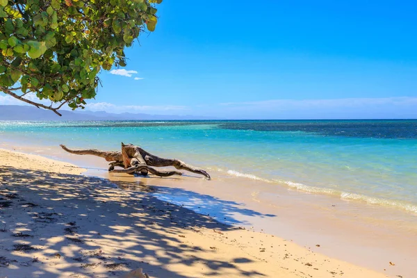 Karibikstrand Mit Fischerbooten Der Playa Ensenada Dominikanische Republik — Stockfoto