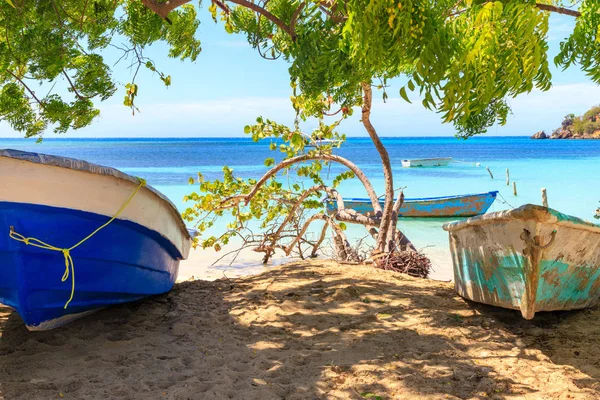 Caribbean Beach için yapılan küçük tropikal balıkçı köyü. Berrak suları. Balıkçı tekneleri. Yaz günü. Mavi gökyüzü. Dominik Cumhuriyeti.