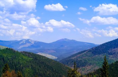 yüksek dağlar, ağaçlar, yabani hayvanlar ve bitkiler, kavramı ve mavi gökyüzü arka plan boşluk kopyalama