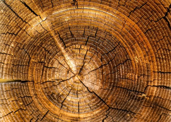 Fundo autêntico com padrões de madeira natural, o conceito de materiais naturais, espaço de cópia , — Fotografia de Stock