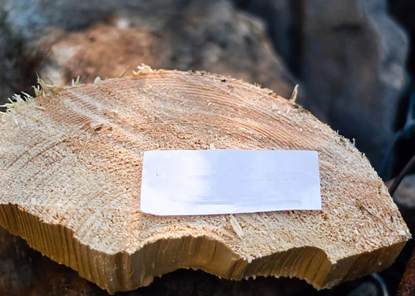 Ronde houten stand, natuurlijke achtergrond, kopiëren ruimte, — Stockfoto