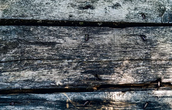 arka plan eski ahşap panoları, vahşi doğal dokular kavramı, kopya alanı,