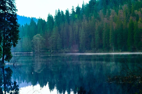 Panorama do lago em uma manhã nebulosa com montanha no fundo da natureza selvagem, reflexão no Parque Nacional dos Cárpatos , — Fotografia de Stock