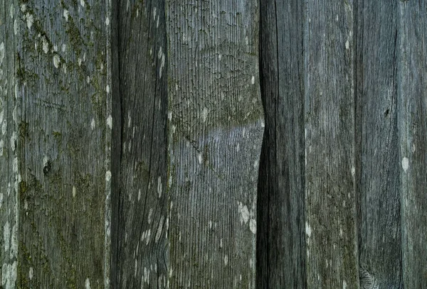 Fundo de velhas tábuas de madeira, conceito de texturas naturais na natureza, espaço de cópia , — Fotografia de Stock