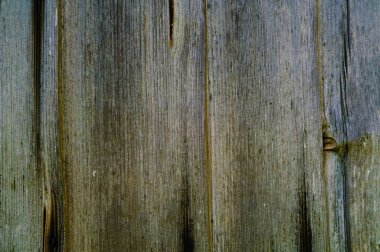 arka plan eski ahşap panoları, vahşi doğal dokular kavramı, kopya alanı,