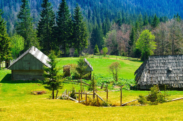 panorama of mountain rural landscape against a background of wild nature in the Carpathian National Park, Europe.