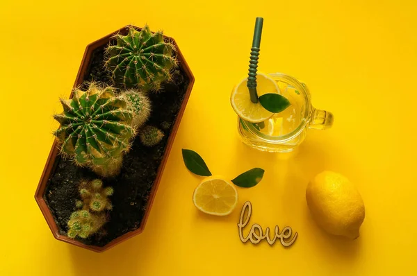 Citrus limonádé ital, szénsavas víz üveg, kaktuszok. Detox vizet inni nyáron. Fgreen Neon hangulat a sárga háttér. — Stock Fotó
