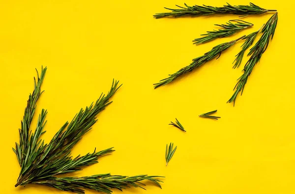 İtalyan yemek background.Organic gıda kavramı parlak sarı arka plan, doğal ışık, kopya alanı, taze biberiye ile pişirme portre,