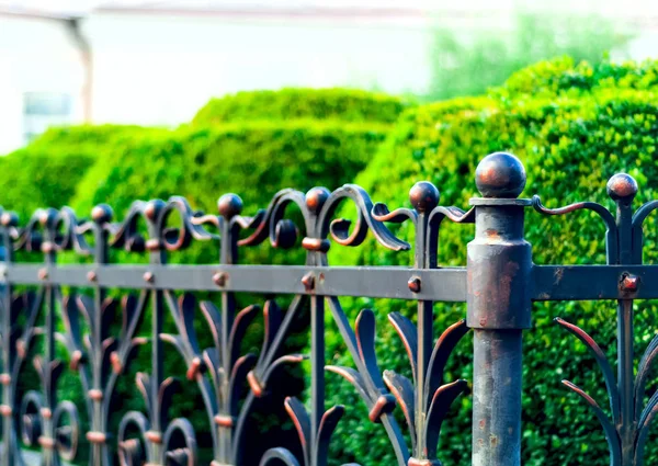 iron forged fence, wrought iron ornaments,horizontal photo, space for copy, closeup,