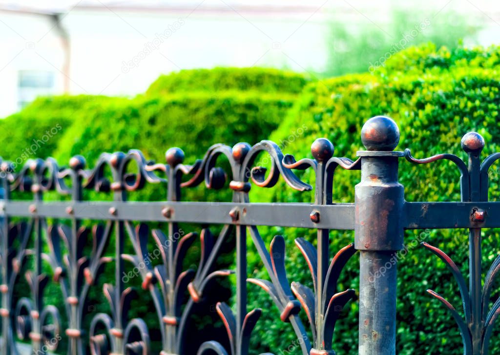 iron forged fence, wrought iron ornaments,horizontal photo, space for copy, closeup,