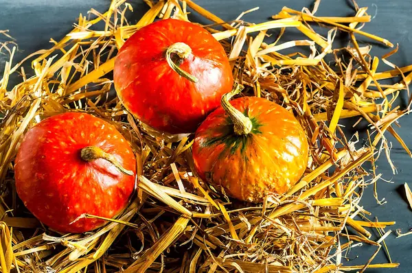 わら、コピー領域のクローズ アップの質感のカラフルな秋オレンジ カボチャ — ストック写真