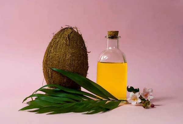 Kokosolie en verse kokosnoten geïsoleerd op roze achtergrond. Kopie ruimte, close-up — Stockfoto