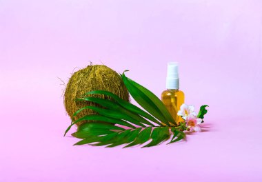 Hindistan cevizi yağı ve taze hindistancevizi izole. Hindistan cevizi ve pembe bir arka plan üzerinde yaprakları yapılmış yaratıcı düzeni. Kopya alanı, portre