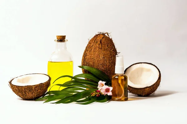 Kokosový olej a čerstvé kokosové ořechy, samostatný. Kreativních rozložení z kokosových ořechů a listy na bílém pozadí. Kopie prostor, closeup — Stock fotografie