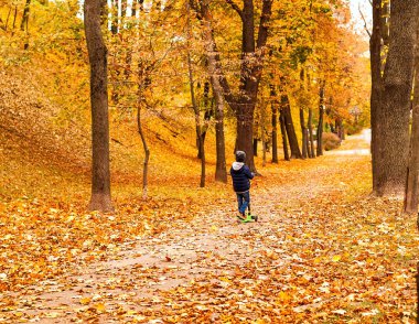 küçük çocuğa scooter sonbahar Şehir Park, yakın çekim, alanı Kopyala