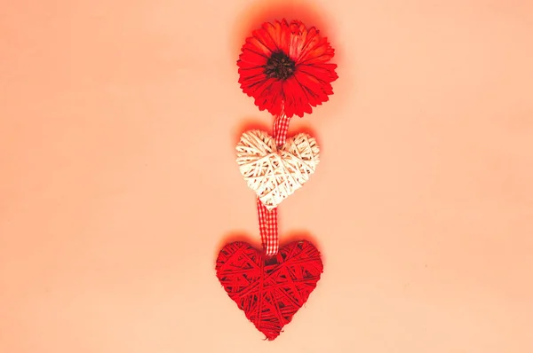 Concepto de amor o San Valentín. Fondo de papel creativo de gerberas de coral y corazones, color de moda . — Foto de Stock