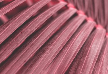 Tropikal palmiye yaprağı arka plan. Ana eğilim yaşam yeşillik. Kopya alanı