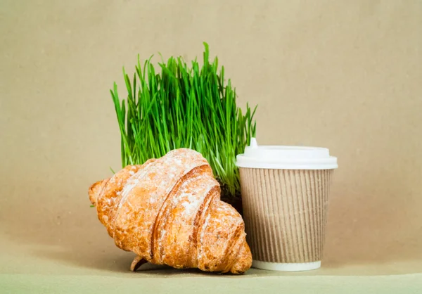 Croissant broodjes mit koffie kopjes en Germinated zaad van haver of groen gras in kokosnoot kom op grijze achtergrond. Groen wonen. — Stockfoto