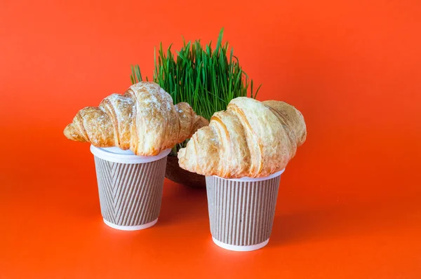 Koffie in wegwerp papieren bekers en en gekiemde zaden van haver of groen gras in kokosnoot kom op helder oranje achtergrond. — Stockfoto