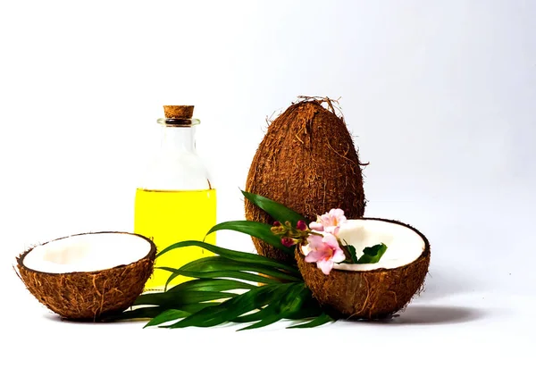 Kokosový olej a čerstvé kokosové ořechy, samostatný. Kreativních rozložení z kokosových ořechů a listy na bílém pozadí. — Stock fotografie