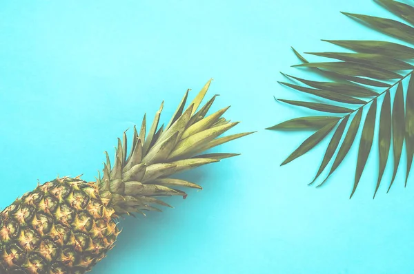 Тропический фон с ананасом. Пальмовые листья на синем фоне . — стоковое фото