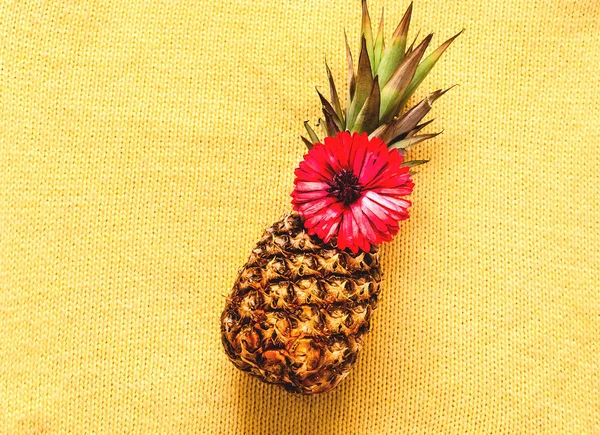 Tropical background with pineapple and gerbera flower on yellow knitted texture.