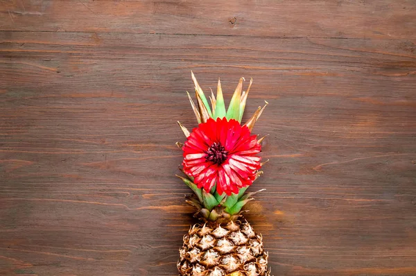 Ananas ve gerbera çiçek ile tropikal arka plan. — Stok fotoğraf