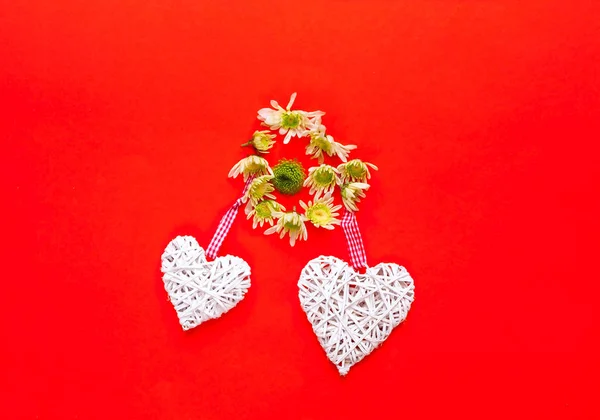 Crisantemos y corazones decorativos sobre fondo coralino. Decoración festiva . — Foto de Stock