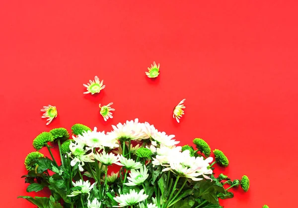 Beyaz ve yeşil krizantem çiçek buketi. Festival dekor. — Stok fotoğraf