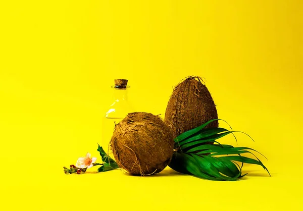 Coconut oil and fresh coconuts. Creative layout made of coconuts and leaves on yellow background.