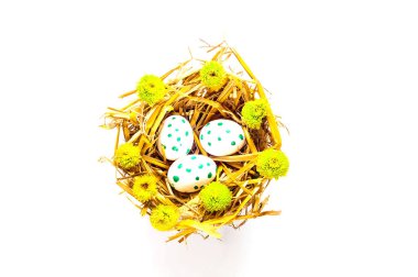 Festival Paskalya arka plan. Bahar çiçekleri saman doku ile beyaz yumurta. 