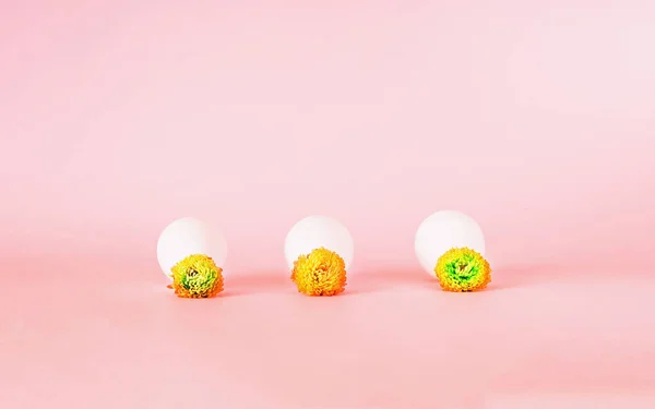 Festlig påsk bakgrund. Vita ägg med blomma på pastell rosa bakgrund. — Stockfoto