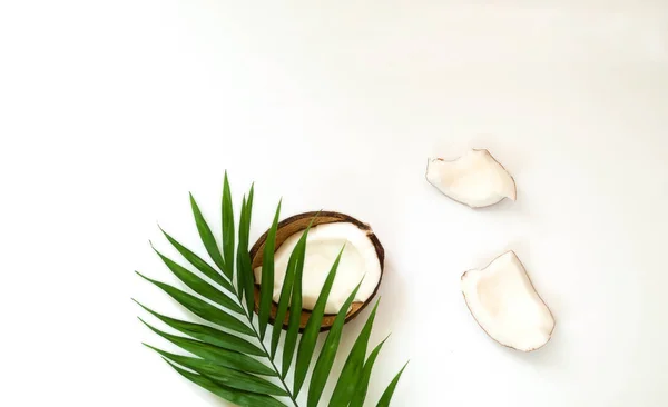 Tropikalny tło z połówki orzecha kokosowego. Liści palmowych na na białym tle. — Zdjęcie stockowe