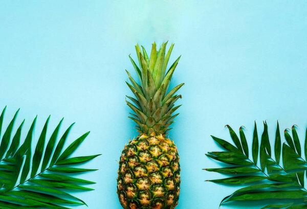 Tropical background with pineapple. Palm leaves on blue background.