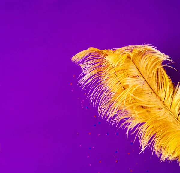 Gula strutsfjädrar på lila bakgrund. Festlig bakgrund f — Stockfoto