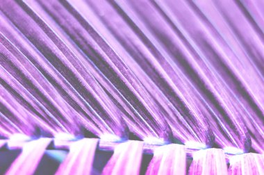 Tropikal palmiye yaprağı arka plan. 2019 yılının trend rengi. Close. 