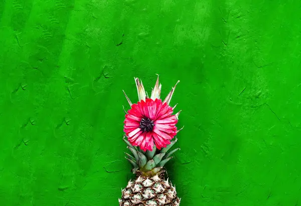 Fondo tropical con piña y flor de gerberas. Copiar espacio . — Foto de Stock