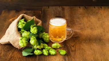 Bira kupa ahşap arka plan üzerinde taze hop mit. Oktoberfest bira festivali konsepti