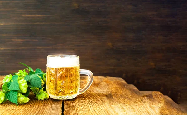 Taza de cerveza mit salto fresco sobre fondo de madera. Oktoberfest concepto festival de la cerveza — Foto de Stock