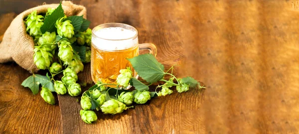 Bierkrug mit frischem Hopfen auf Holzuntergrund. Oktoberfestbier — Stockfoto