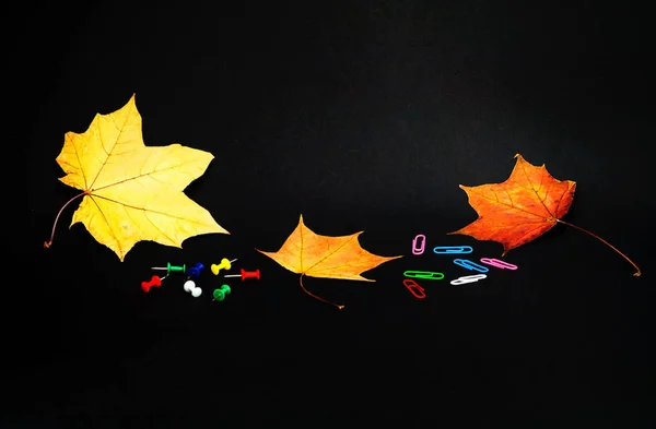 Fournitures de bureau sur fond noir avec feuilles d'automne — Photo