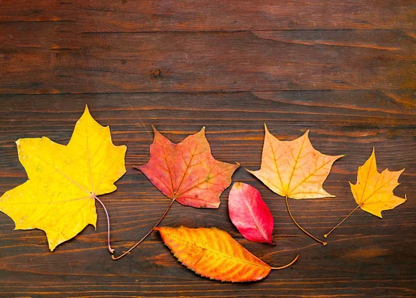 Coloridas hojas de otoño sobre fondo de madera — Foto de Stock