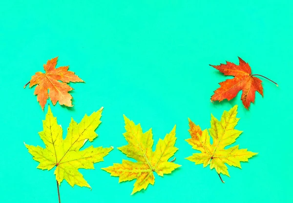 黄色い葉からの秋の背景。トレンディな色 2020 — ストック写真